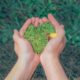 carbon-free-neutralità-ambientale