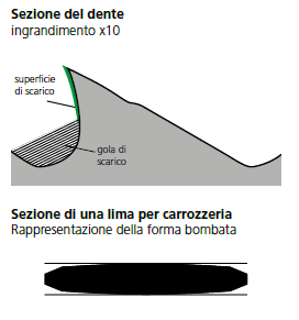 sezione del dente lime per carrozzeria